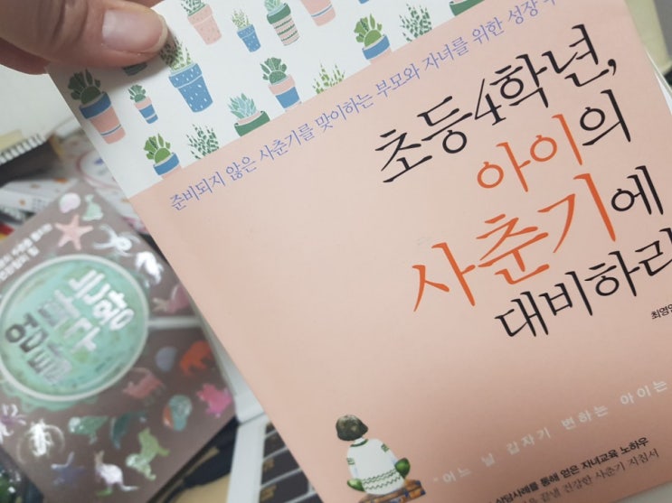  초등학교 4학년 아이의 사춘기에 대비하라!!! - 최영인 지음