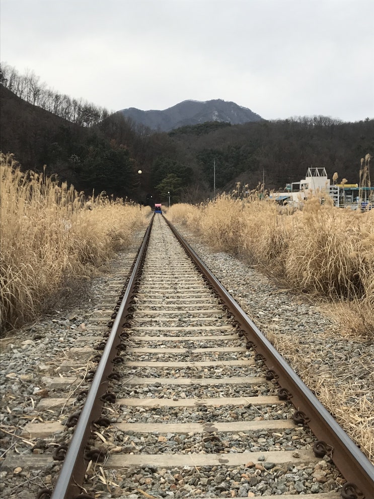 [춘천여행] 김유정역 맛집과 김유정 레일바이크 그리고 나무향기에서 피로를 싹 -