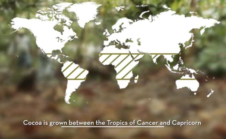  2주차 - 초콜릿(역사, 빈투바, 템퍼링의 원리)