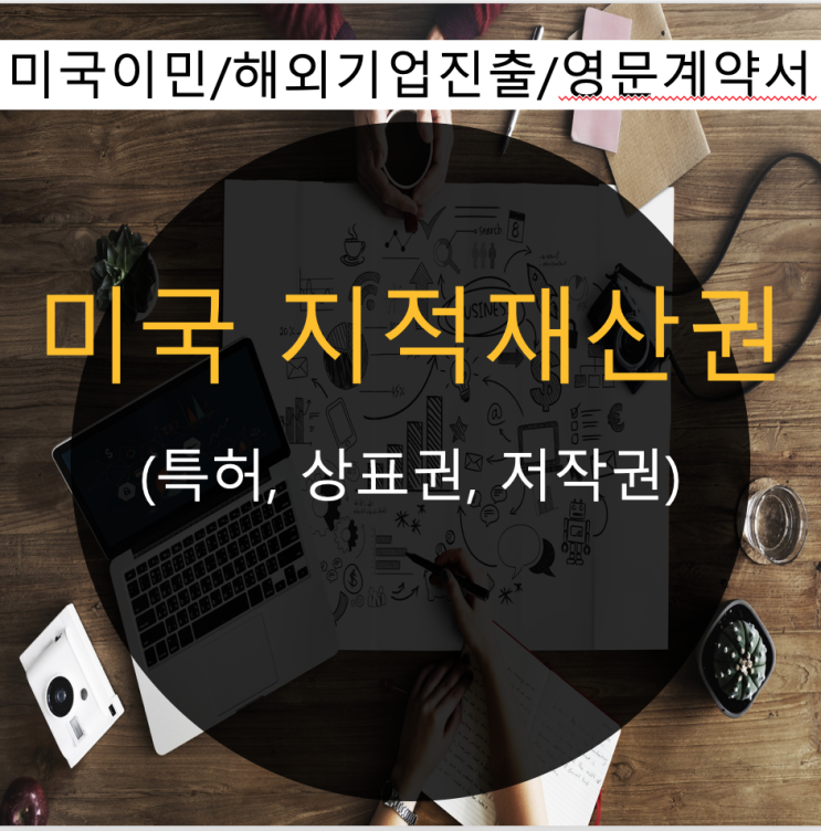  미국 지식재산권 / 지적재산권 (특허, 상표권, 저작권 등)