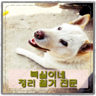  폐가구 가구 폐가전 가전 수거 쉽게하는 방법 대행 중고가구가전 처리 헌옷 원룸정리청소 고물상 구미 김천 칠곡 안동 상주 성주 군위 전 지역 당일 처리 살림 처분
