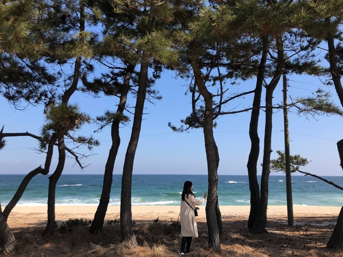  <강릉 당일치기 여행>