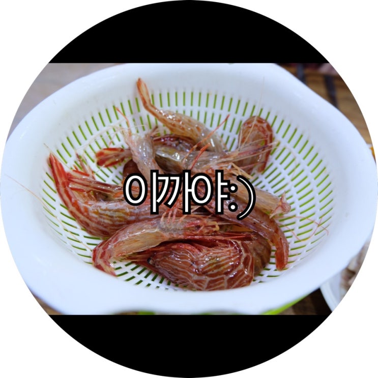 [부산 부평동 맛집]남포동 꽃새우 이까야 : )