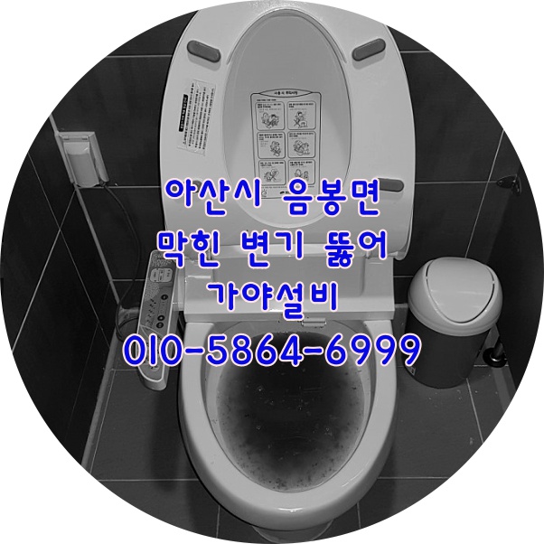  아산 음봉면 신수리 변기막힘 변기물이안내려가요 아산변기뚫는곳 천안변기뚫어주는곳