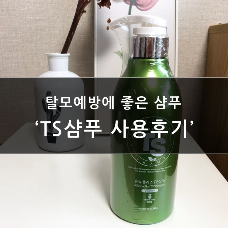  탈모예방 - 탈모증상 완화 좋다는 TS샴푸 사용 후기 (두피 마사기지)