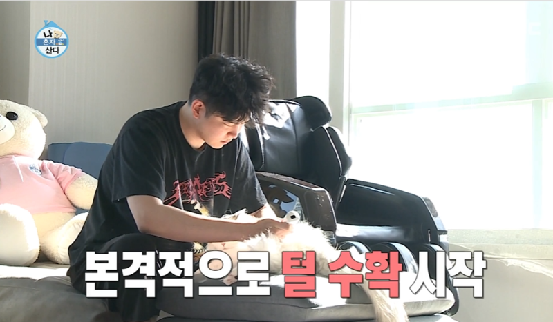 나혼자산다 윤균상 고양이 집사의 달인인가봐요