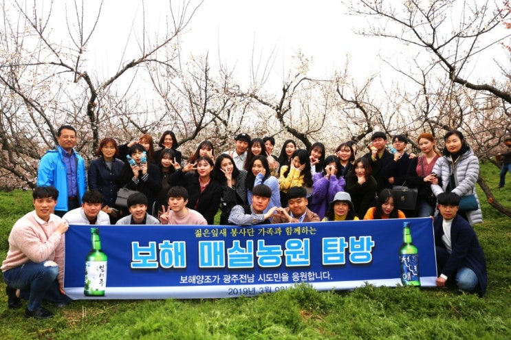  [보해양조] 젊은잎새 봉사단 - 보해매실농원 보해해남매실농원, 해남 땅끝매화축제