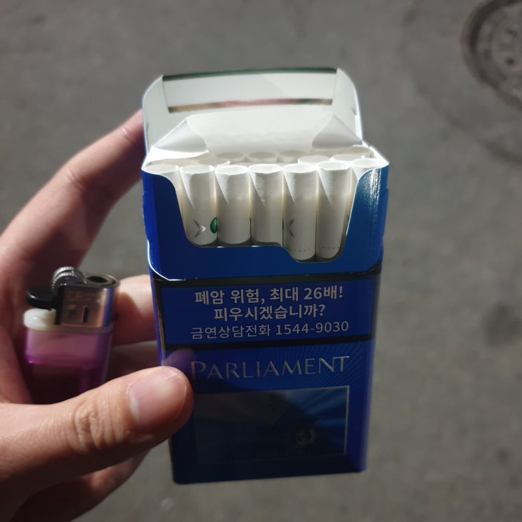  [담배리뷰] 필라멘트 하이브리드5
