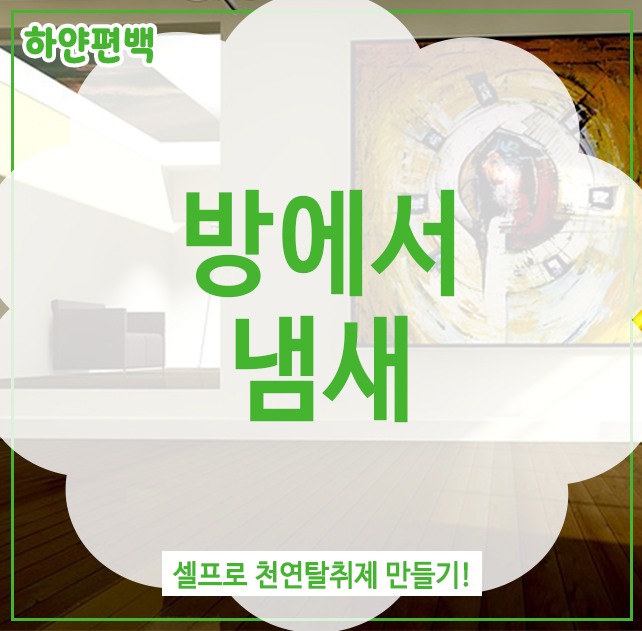  방에서 냄새, 셀프로 천연탈취제 만들기!
