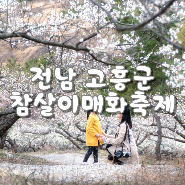  [고흥여행] 참살이 매화축제가 열리는 매실농장을 다녀왔어요.