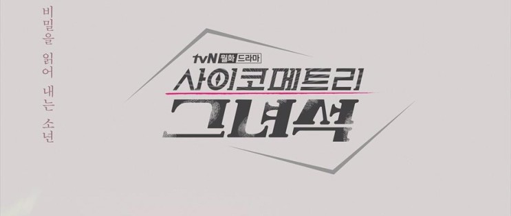 [드라마리뷰] tvN 월화드라마 사이코메트리 그녀석 _# 초능력 수사물과 판타지 로맨스의 결합