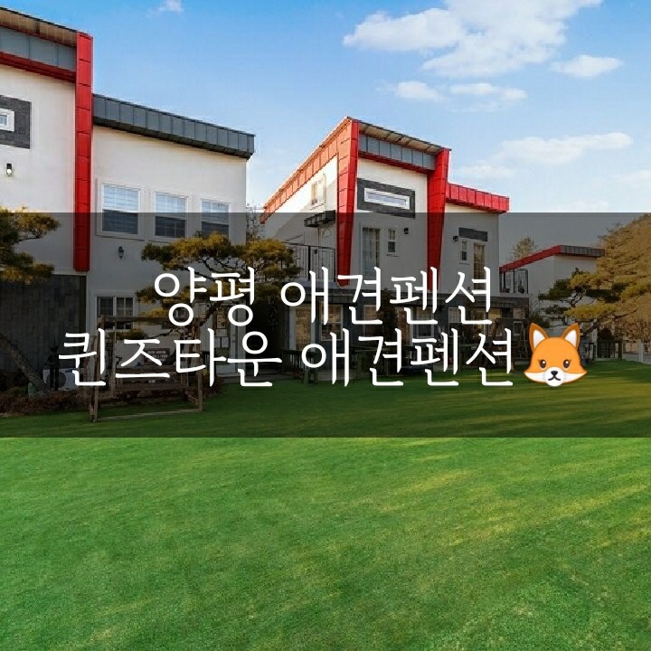  [국내여행/양평] 양평 애견펜션 :: 퀸즈타운 애견팬션 에서 방울이와 봄 힐링여행