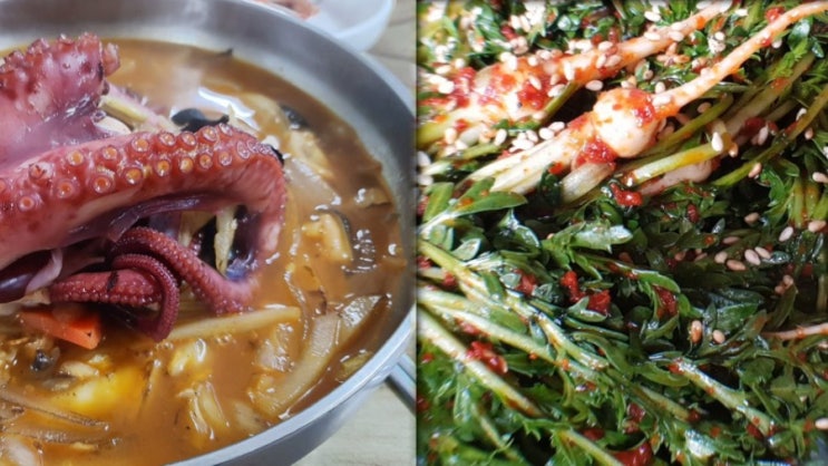맛 대 맛 맛 대 맛
