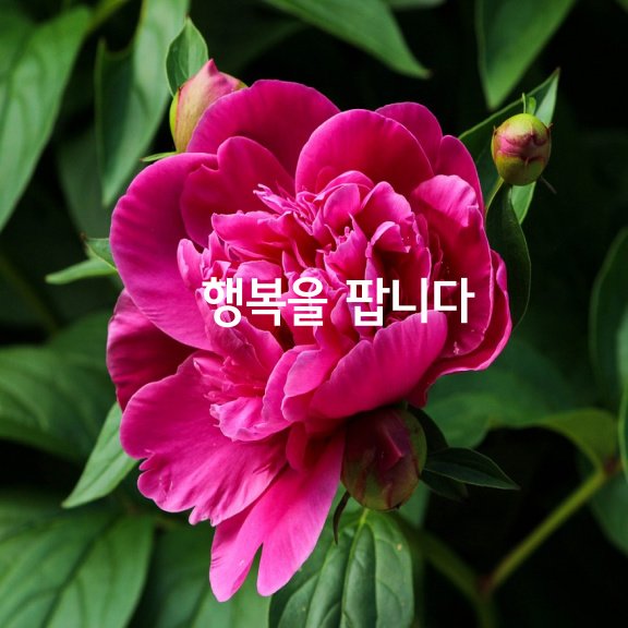  행복을 팝니다