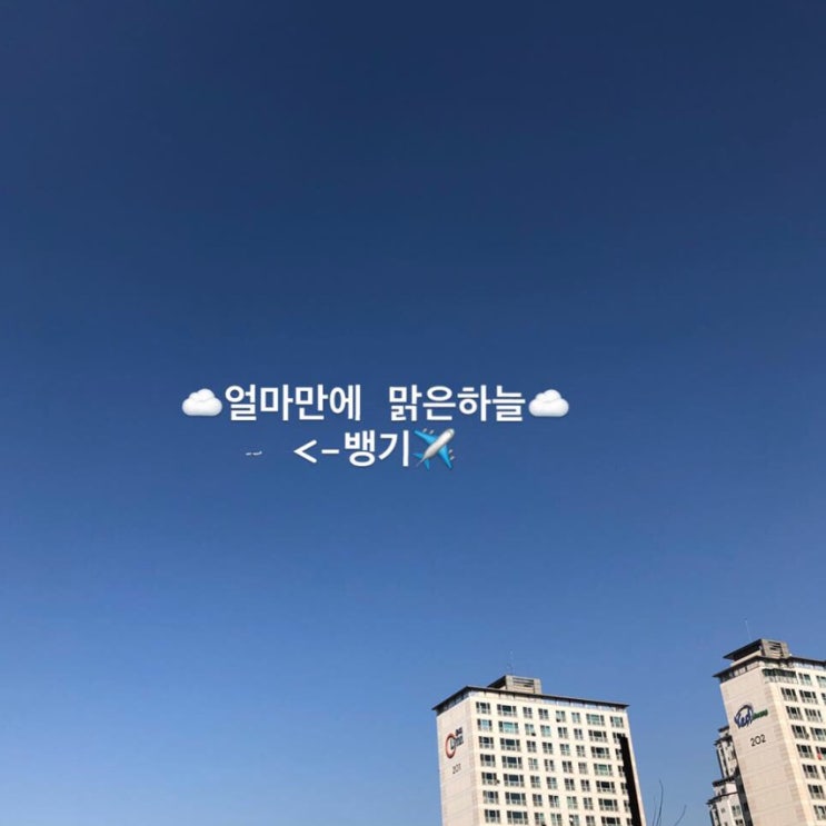  일상 먹은것 이것저것