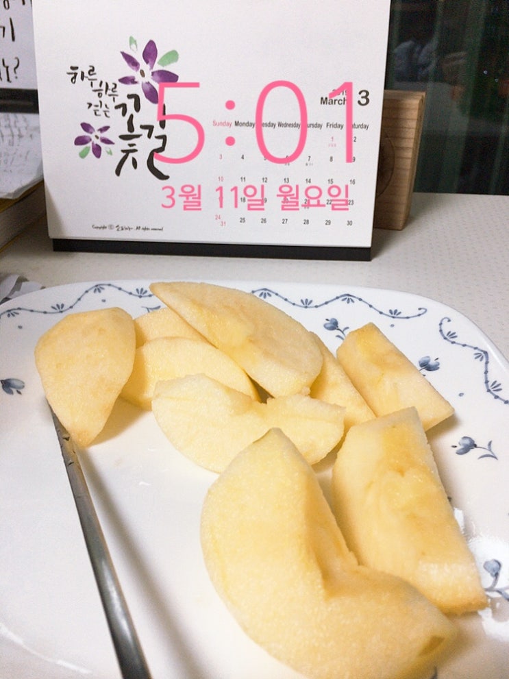  2019.03.11 니 뭐 뭇노