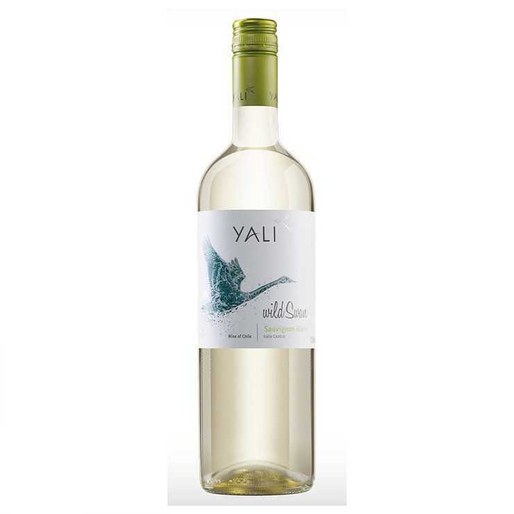  [No.234][칠레/Chile] Yali Wild Swan Sauvignon Blanc 2017(얄리 와일드 스완 쇼비뇽 블랑 2017)