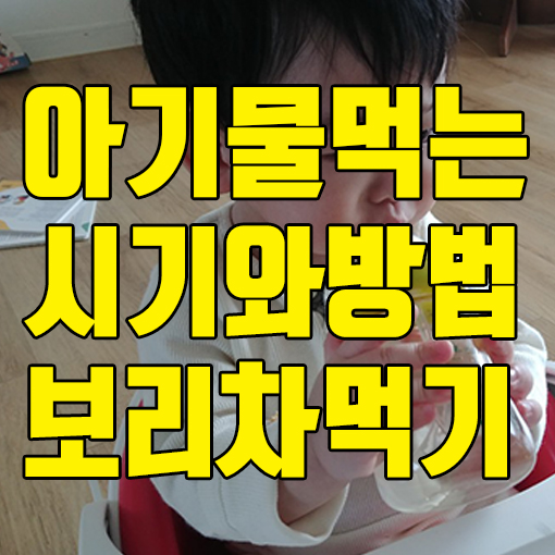  아기 물먹는 시기, 보리차 언제부터 가능할까?