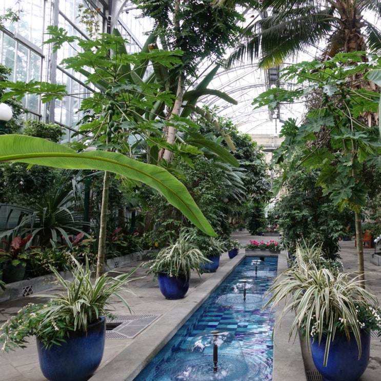  #190311 미국 동부 여행 9일차 - 워싱턴 D.C. 미국 식물원 United States Botanic Garden