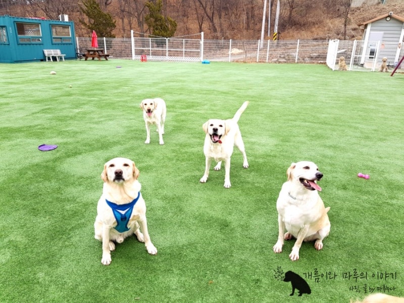 사진 6