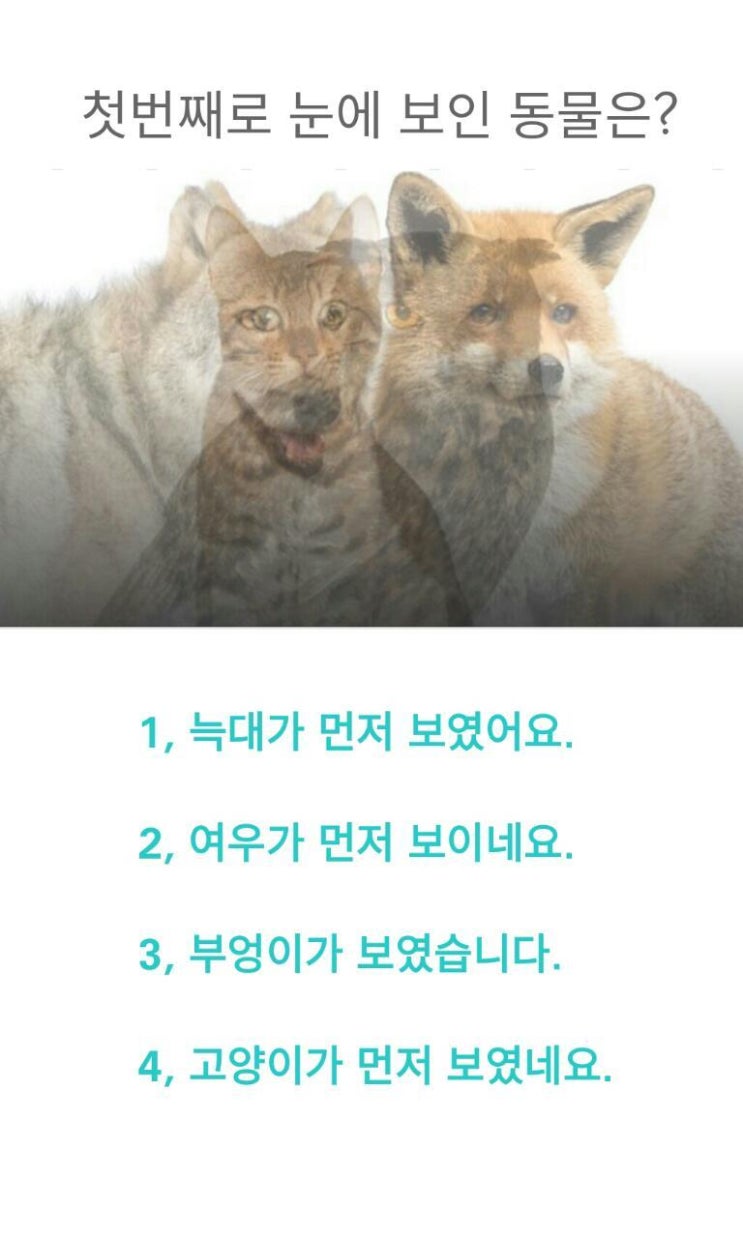 심리테스트-첫번째로 보이는 동물은?