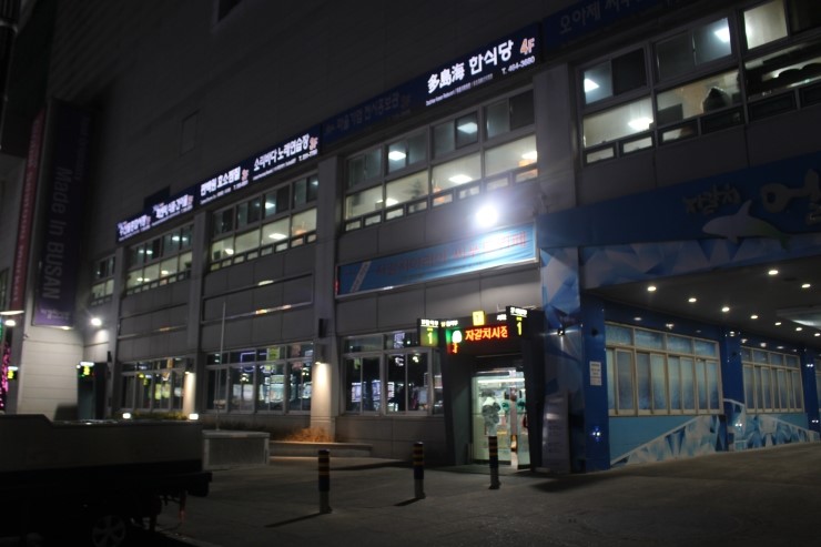  부산 자갈치시장 맛집  백호상회 싱싱한 회 가득~! 추천할만 합니다.