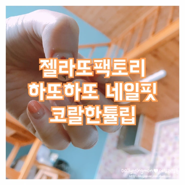  젤라또팩토리 하또하또 네일핏 꿀팁! 코랄한튤립+튼튼베이스코트+뚠뚠탑코트 하또하또 솔직 후기! 하또하또 제거 꿀팁