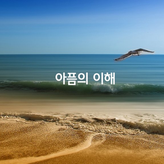  아픔의 이해