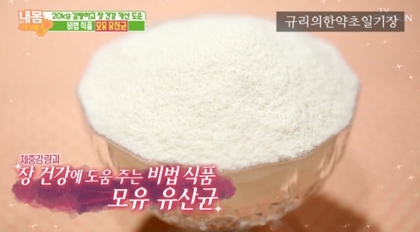  유해균 억제와 체지방 감소 돕는 모유유산균 락토바실러스 가세리 BNR17