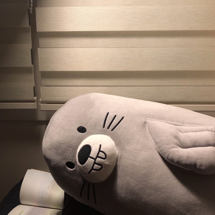  내 공간 , 내 마음