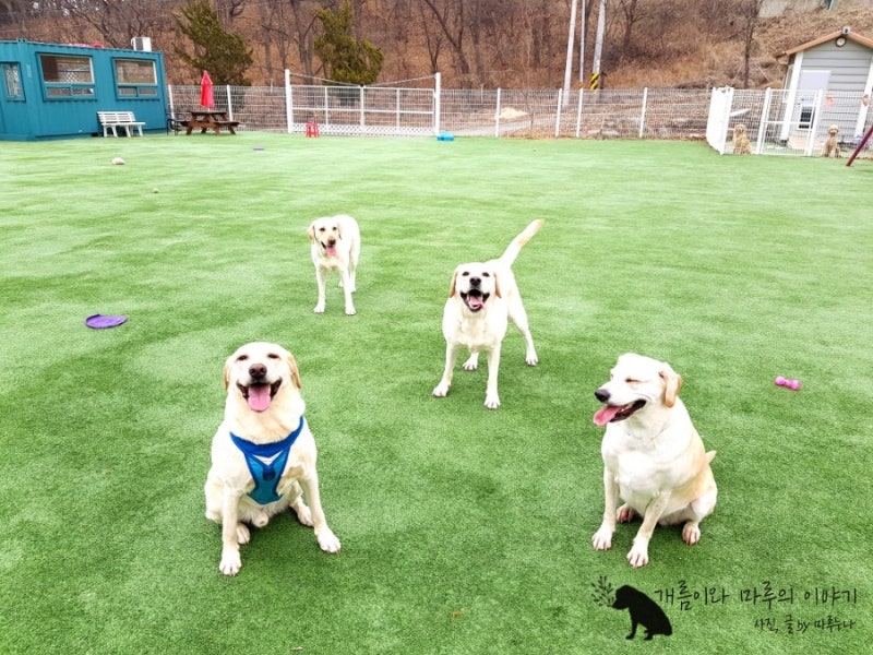 사진 7