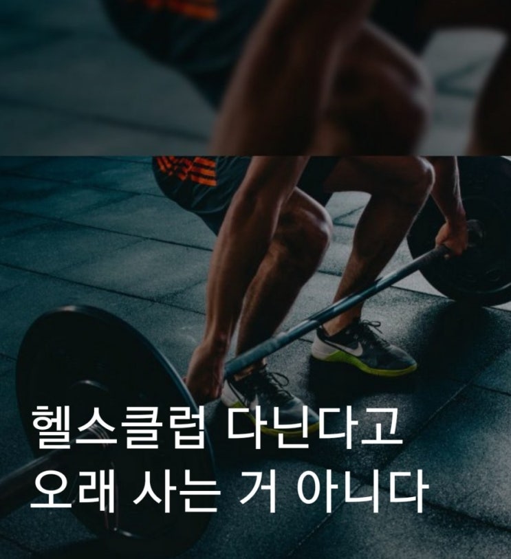  장수하는 비결