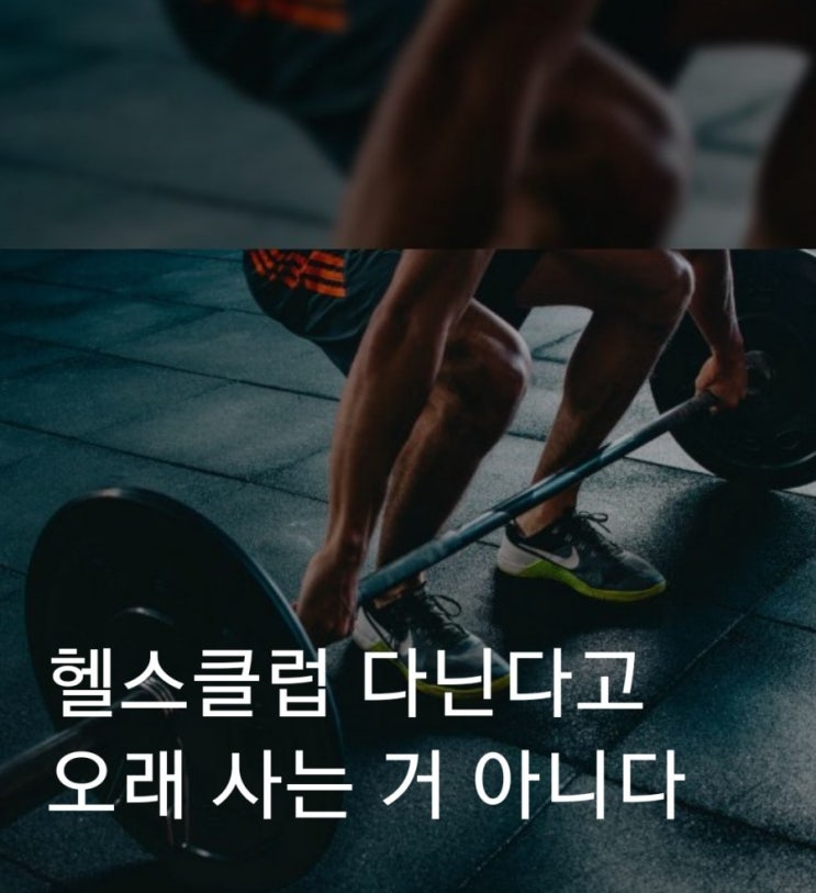 장수하는 비결