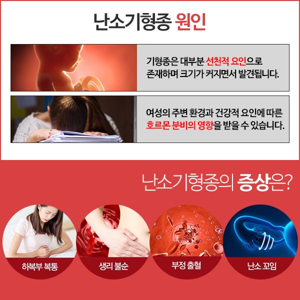 난소경계성종양 종류와 증상까지 5