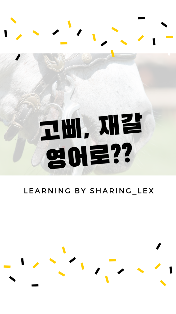  고삐는 영어로 뭐라할까?