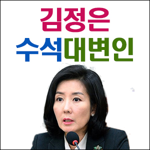  나경은 원내대표가 "문 대통령, 김정은 수석대변인"이라고 한 이유