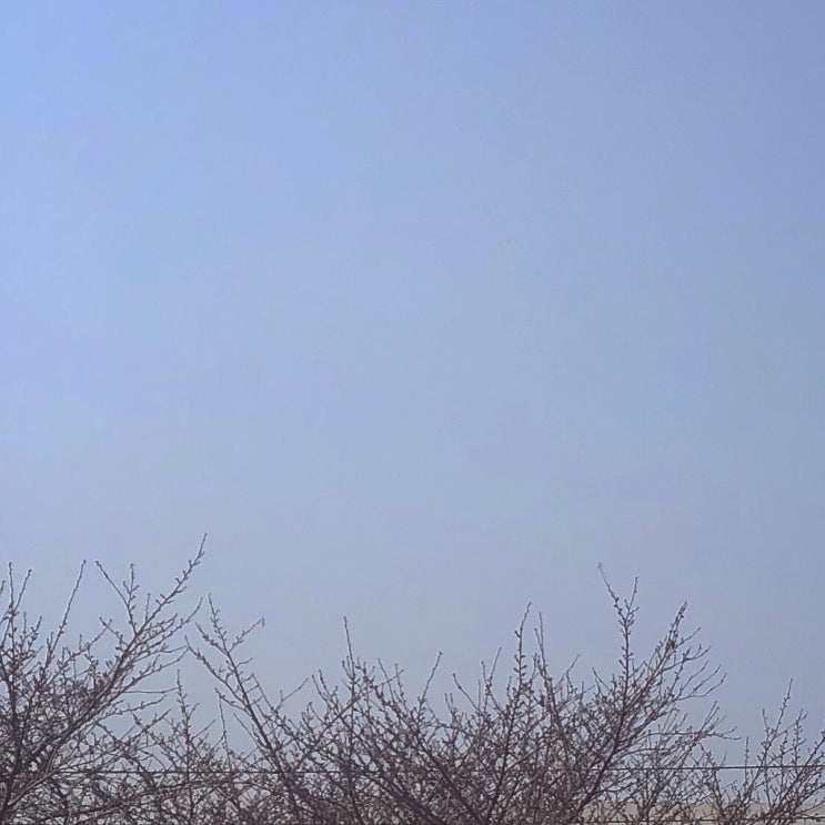  20190312, 운전면허 필기시험패스