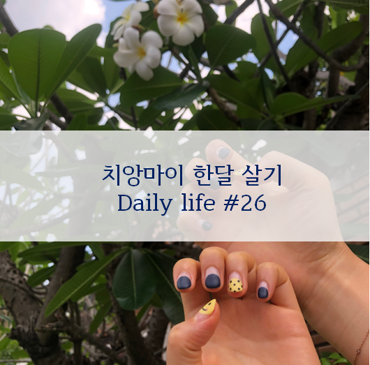  [치앙마이 한달살기] 치앙마이 Daily life #26(feat. flour flour, 젤네일, 씨아 어묵국수, 깟수언깨우 우체국, 마야몰 야시장)