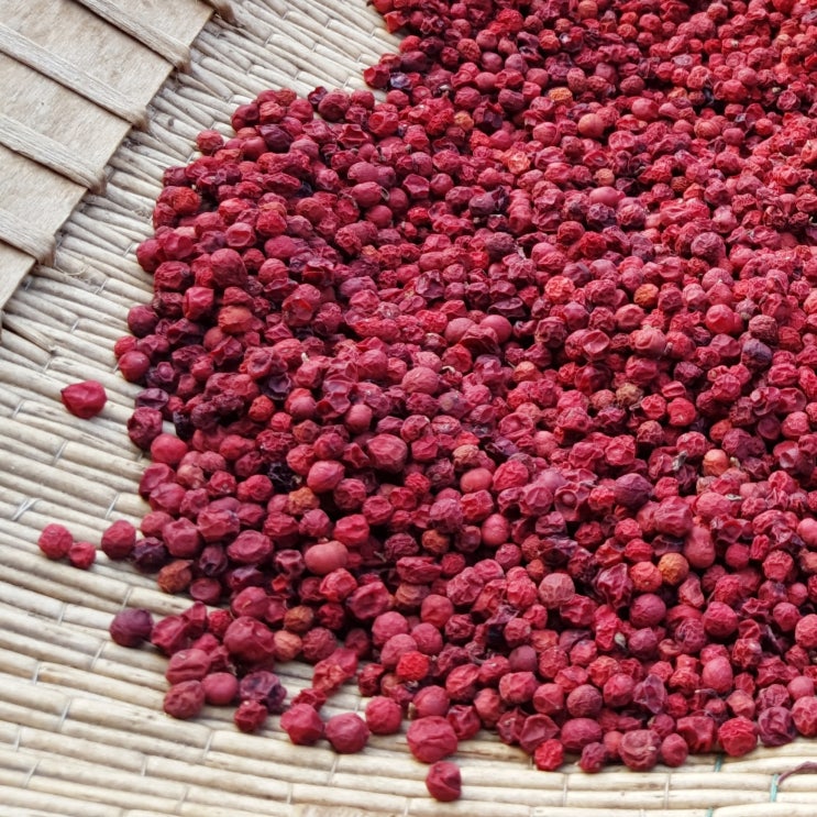 건오미자먹는법 초간단