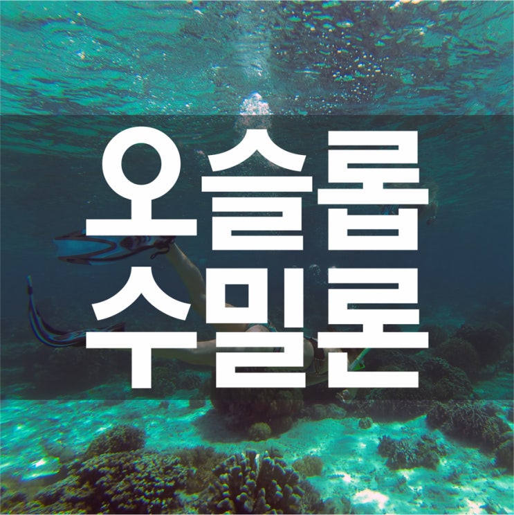  오슬롭)고래상어+투말록폭포+수밀론섬-오슬롭을 제대로 즐기는 럭셔리한 콤보~ 오슬롭수밀론투어