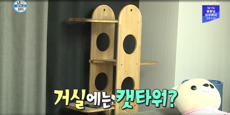  [MBC 나혼자산다] 배우 윤균상님의 고양이하우스에 가또블랑코 제품이?