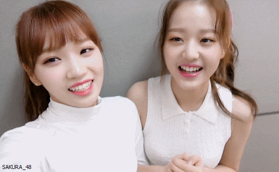 (시리즈) 아이즈원 멤버들의 별명을 알아보자 쌈무요정 김채원편