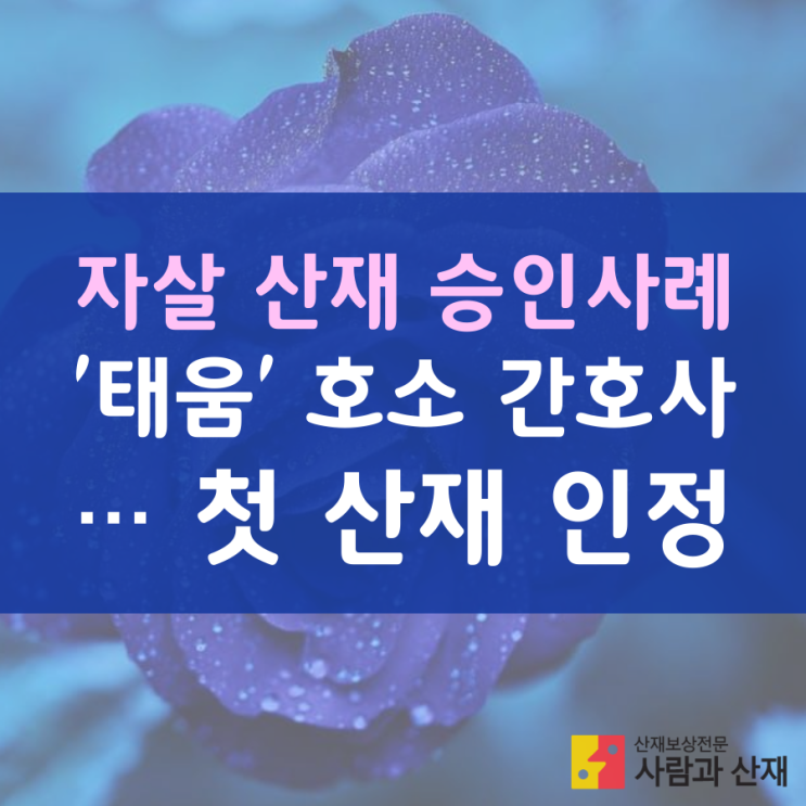  [자살 산재] '태움' 호소 간호사 … 산재 인정