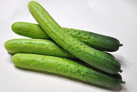 오이 다이어트 칼로리 보관방법 5