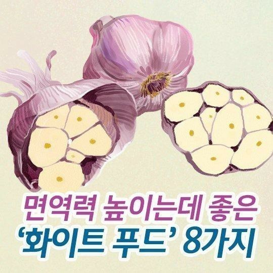  면역력 높이는데 좋은화이트 푸드