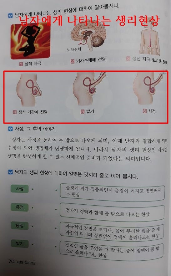 음란물 수준의 초5학년 보건 교과서, 학부모 항의에 회수 소동 : 네이버 블로그