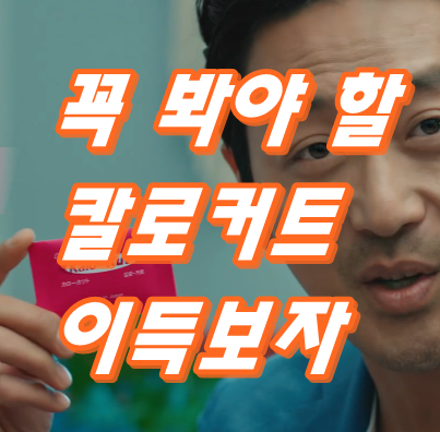 칼로커트 파는곳 면세점 또는
