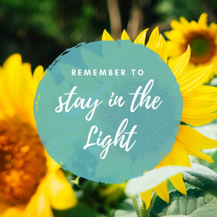  stay in light 