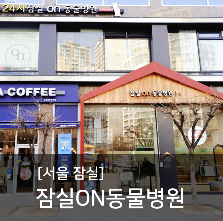  잠실인근 강아지수중재활이 가능한 잠실ON동물병원