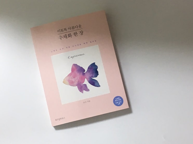  책과 글 - 로아, 이토록 아름다운 수채화 한 장